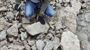 Путешествие в Ордовикский период. Трилобиты Ленинградской области.