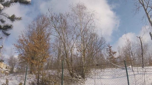 Красивый зимний день. смотреть онлайн