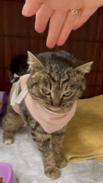 28-02-2025 смотреть онлайн