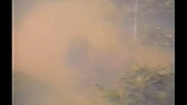 林圭一のワンポイントアドバイス смотреть онлайн