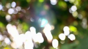 Music AN|NET - Любовь спасёт мир! (ч.II)