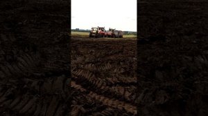 Уборка сахарной свёклы Агрофирма Рыльская 2022