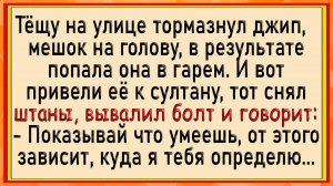 Как тёща попала в гарем! Сборник свежих анекдотов! Юмор!