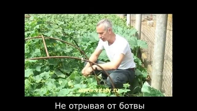 +1♂♂5♂♂ - Вселился ♂jabroni♂ смотреть онлайн