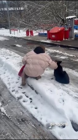 Забирайте Джейкусю с Выставки, которая пройдет 1-2 марта в Крокус экспо с 10 до 18. #kotodetki