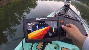 Raymarine Element