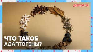 Что такое АДАПТОГЕНЫ? | Доктор 24