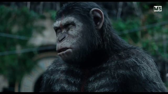 Planeta De Los Simios ConfrontacionCesar advierte a los humanos de una guerra HD Audio Latino