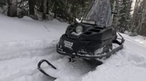 Прогулка на буране лидер по лесу