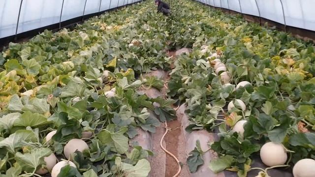 3 декабря 2020 г. смотреть онлайн