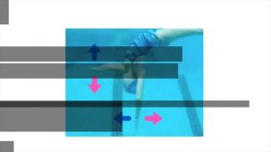 Synchronized Swimming Swordfish