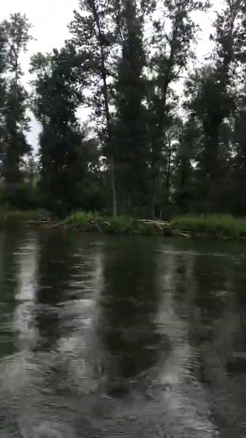 В верх по чёрному июсу смотреть онлайн