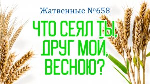 ПВ_4k №658 Что сеял ты, друг мой, весною