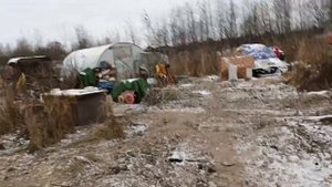 22.11.23. полет вальдшнепа...