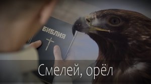Смелей, орёл!  - Христианская песня - Евангелия Хворостинина