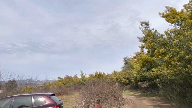 Porsche Cayenne Turbo смотреть онлайн