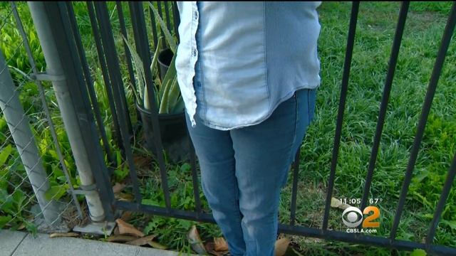 Woman, Teen Granddaughter In Critical Condition After House Fire смотреть онлайн