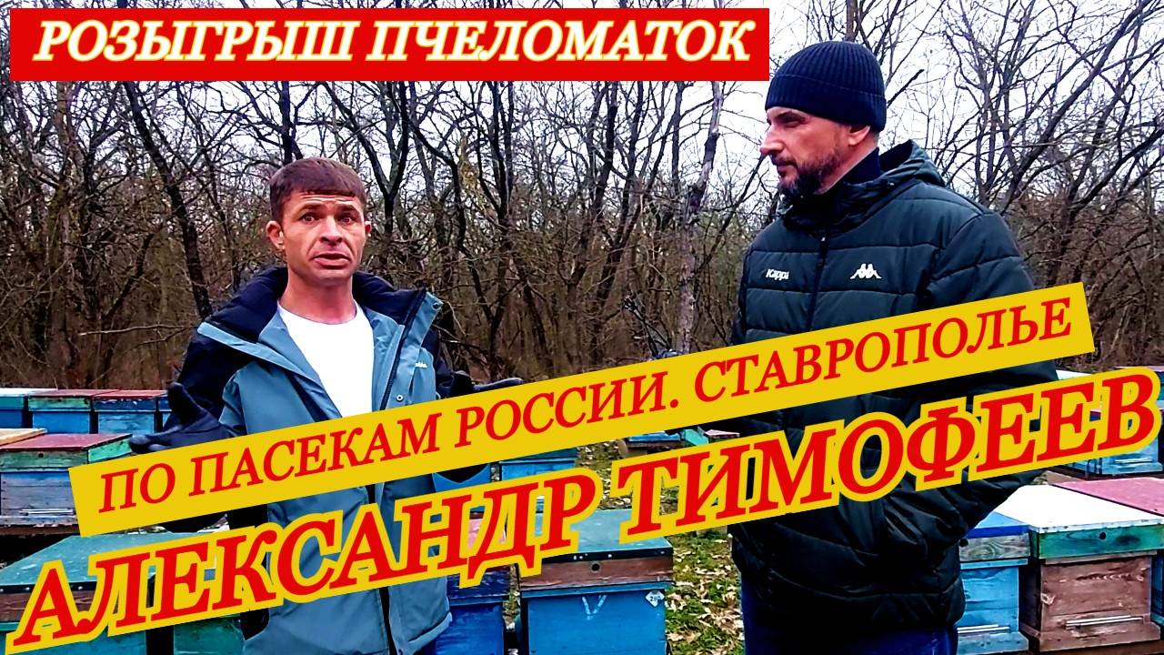 Любите пчелу и у вас всё получится - Александр Тимофеев / Ставрополье