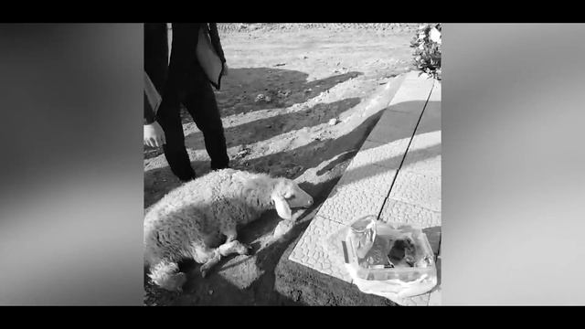 Լեռնիկ Թադեվոսյան - Արթիկցի քաջ Կարեն смотреть онлайн