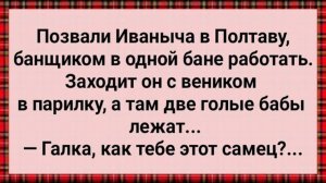 Как Иваныч в Полтаве Банщиком Работал! Сборник Свежих Анекдотов! Юмор!