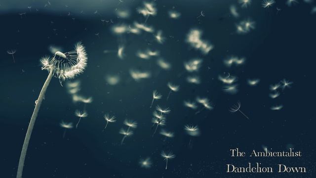 The Ambientalist - Dandelion Down