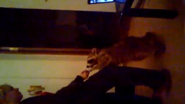 MOV00065.3gp смотреть онлайн