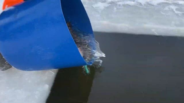 Запуск форели в водоем смотреть онлайн