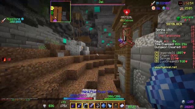 REVIEW SKYBLOCK ADDONS BETA - #254 - Hypixel Skyblock