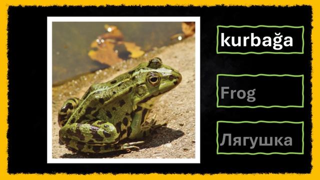 Kelime Öğretimi (Hayvanlar) & Обучение словарному запасу