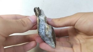 Халедон 159 грам