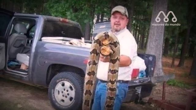 CASCAVEIS GIGANTES JÁ ENCONTRADAS смотреть онлайн