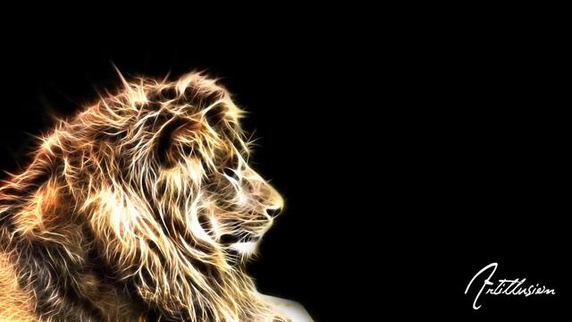 El marabout смотреть онлайн