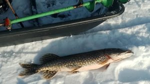 Рыбалка на дальнем озере с другом Толей