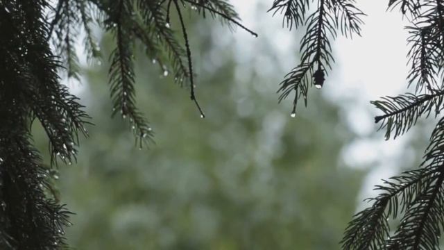 Гроза/Дождь/Звук дождя для сна/Расслабляющие звуки дождя смотреть онлайн