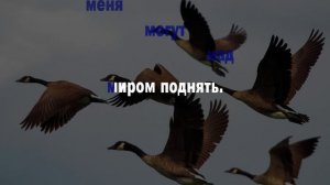 У дикого гуся могучие крылья (КАРАОКЕ)