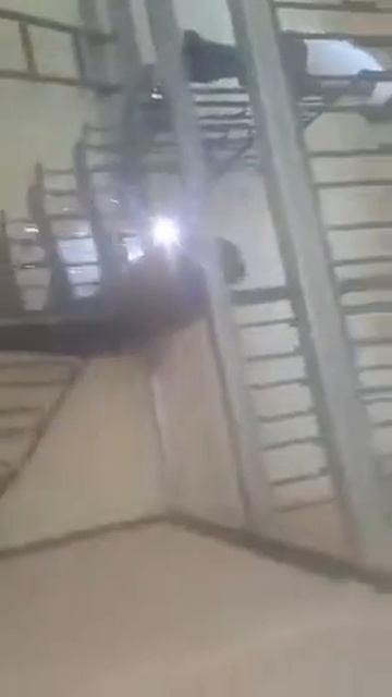 Pasamano de escalera en caracol смотреть онлайн