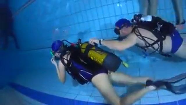 Istituto M.Buonarroti Verona смотреть онлайн