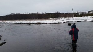 Тест Нахлыстовый шнур Spey Evolution