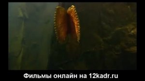 Путешествие к Центру Земли