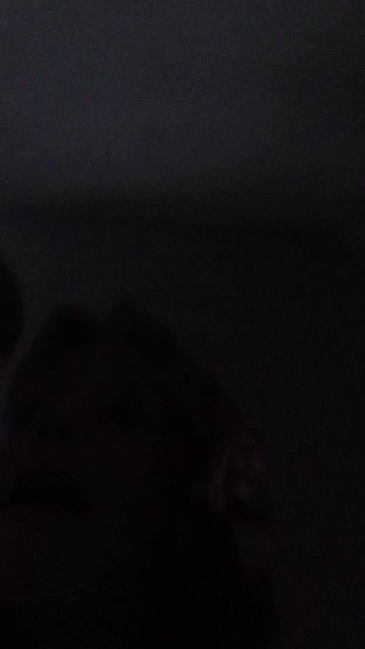 вика