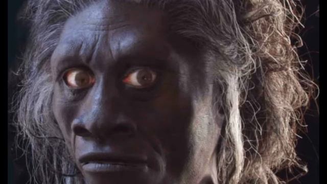 Toon Boom: Napoleon Dynamite смотреть онлайн