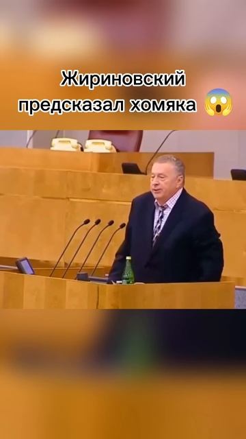 😱 Жириновский предсказал хомяка смотреть онлайн