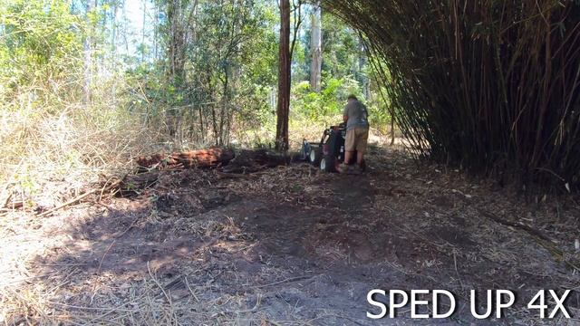First time on a dingo mini digger - Clearing a path around the Bamboo