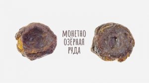 Виды лимонита. Коротко о главном.