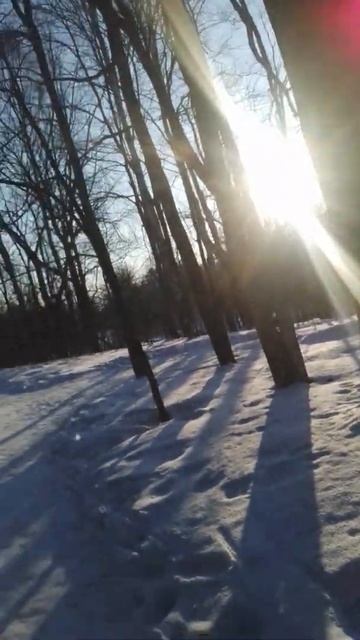 Лес,пение птиц🌼🌼🌼.Forest, birdsong смотреть онлайн