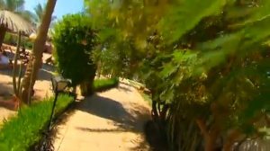 Dessole Seti Sharm Resort Hotel, Sharm El Sheikh, Egypt