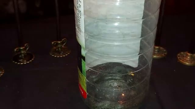 ПЕРЕКЛАД КРУЧИНЫ НА ЗМЕЮ... ОТ ДЕПРЕССИИ И ДУШЕВНЫХ МУК... ДЛЯ ВСЕХ... РИТУАЛЫ ИНГИ ХОСРОЕВОЙ... смотреть онлайн