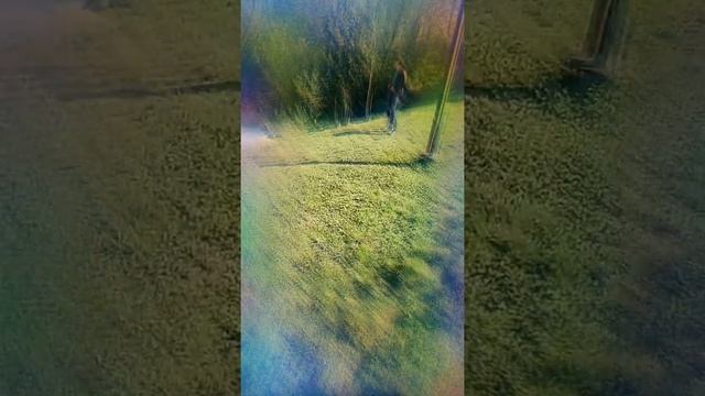 Сайр смотреть онлайн