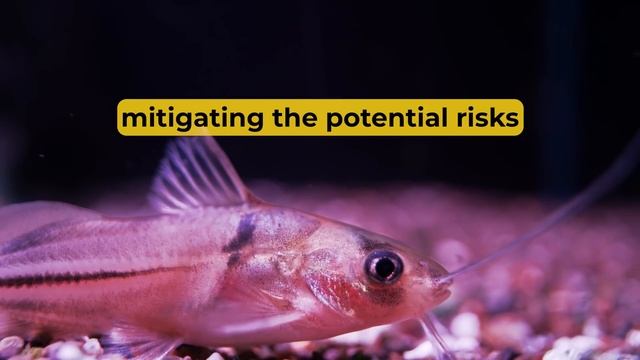 POTHOS GUIDE for HEALTHY FISH TANK смотреть онлайн