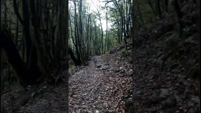 Экопарк Ажек. Водопад и храм 11 века. смотреть онлайн